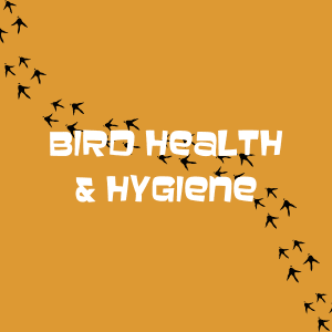 Bird Health & Hygiene