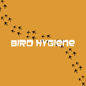 Bird Hygiene
