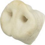 5 Puffed Large Pig Snouts