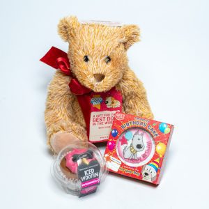 Birthday Gift Set for Girl Dog