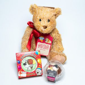 Birthday Gift Pack for Male Dogs