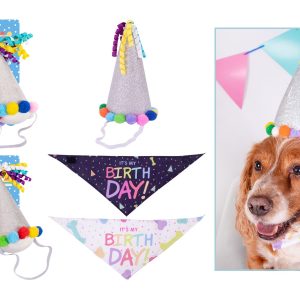 Dog Birthday Bandana & Party Hat