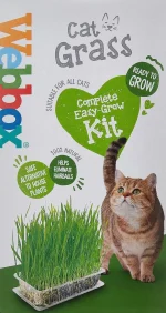 Webbox Cat Grass Grow Kit