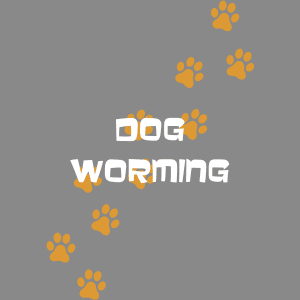 Dog Worming