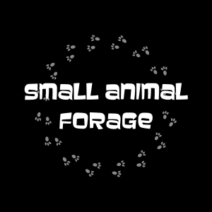 Small Animal Forage