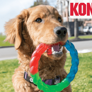 KONG Twistz Ring Small