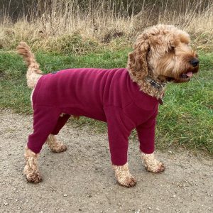 4 Leg Polar Fleece Dog Suit