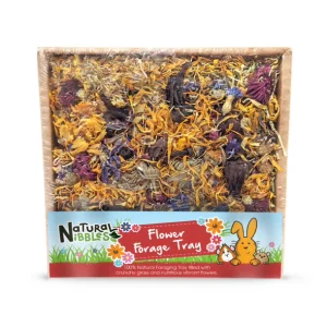 Natural Nibble Flower Forage Tray