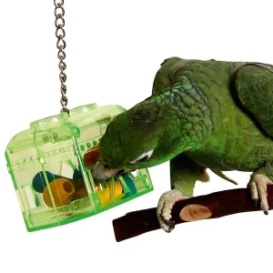 Treasure Hunt Parrot Bird Toy